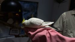 -Zoolung Zoolung动物主题公园(海信广场店)