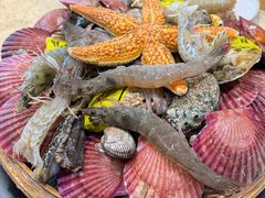 -船梆煮•蒸汽海鲜·炉火烤肉(五四广场店)