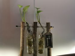-苗方清颜·祛痘皮肤管理