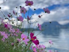 -丽江泸沽湖景区