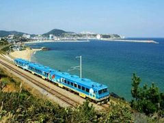 -海洋公园海洋列车－海滨站