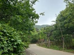 -北京西山国家森林公园