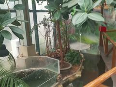 -上海大自然野生昆虫馆(东方明珠·爬宠昆虫探索中心)