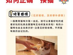 -小猫来了·猫舍(红山六九七九店)