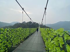 -石燕湖生态旅游景区