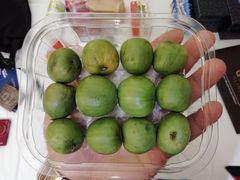 -阿尔罕布拉宫
