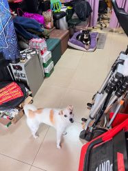 -墨缘纹身工作室