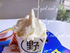 -野人牧坊Gelato(天津南开大悦城店)