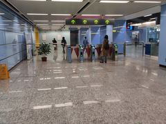 -大龙山(地铁站)