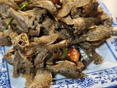 -水岸居湖景农家乐·阳澄湖大闸蟹