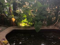 -郑州银基黄帝宫御温泉