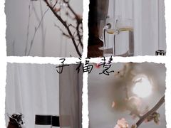 -子福慧(虹桥店)