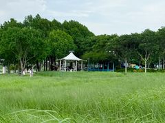 -贡湖湾湿地公园