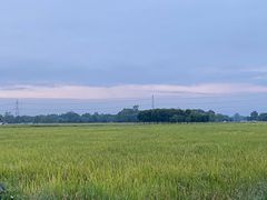 -中国天府农业博览园