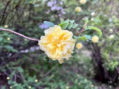 -长春公园(普阳街道)