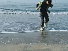 -广东惠东海龟国家级自然保护区