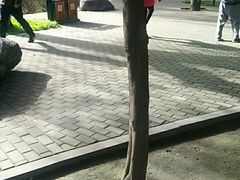 -西安市长乐公园