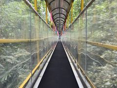 -七仙岭温泉国家森林公园