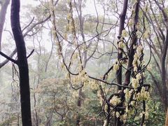 -广州市帽峰山景区