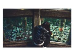 -西雅图水族馆