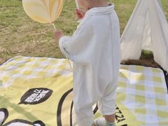-九龙湖公园