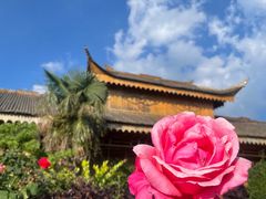 -乌蒙大草原