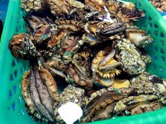 -鸿港海鲜批发市场