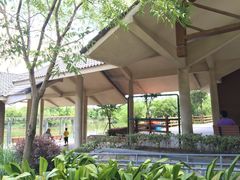 吴淞炮台湾湿地森林公园烧烤区-吴淞炮台湾湿地森林公园烧烤区