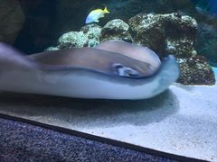-大连圣亚海洋世界