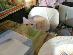 -小时光咖啡馆(北锣鼓巷店)