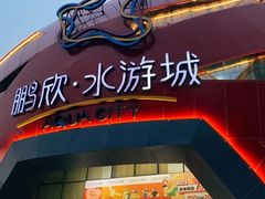 -鹏欣水游城