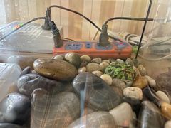 -Rabbit Cafe私房西餐甜点咖啡(栖霞路店)