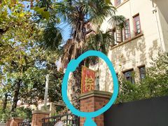 -璐坊粽王(复兴中路店)