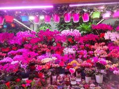 -三旗百汇商品城