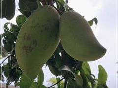 -云溪植物园