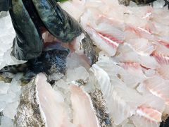 -辉哥火锅(虹桥路店)