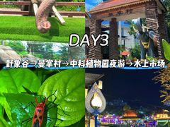 -西双版纳傣族园