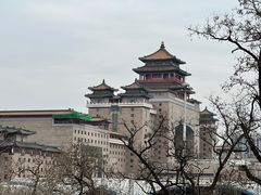 -莲花池公园