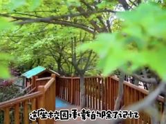 -青岛西海岸新区博苑托育·早教·幼儿园