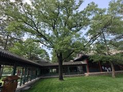 -承德避暑山庄景区