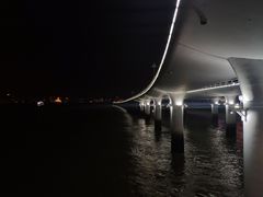 -演武大桥观景平台