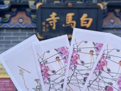 -洛阳白马寺
