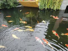 -香麒园·过桥米线·南湖雅宴
