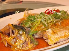-金轩中餐厅 Jin Xuan(浦东丽思卡尔顿酒店)
