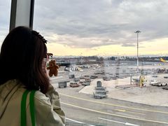 -米兰马尔彭萨国际机场