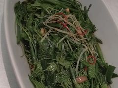 油淋丝瓜尖-盛百味·家宴餐厅(霸州分店)