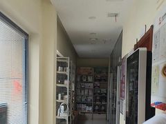 -艾贝尔宠物医院 ·内科全科(梁溪路店)