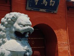 -洛阳白马寺