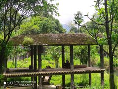 -中国大熊猫保护研究中心雅安碧峰峡基地