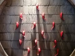 -小龙坎火锅(好世界店)